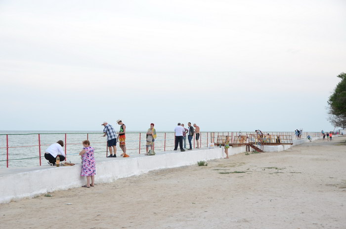Отдых на Азовском море в Седово